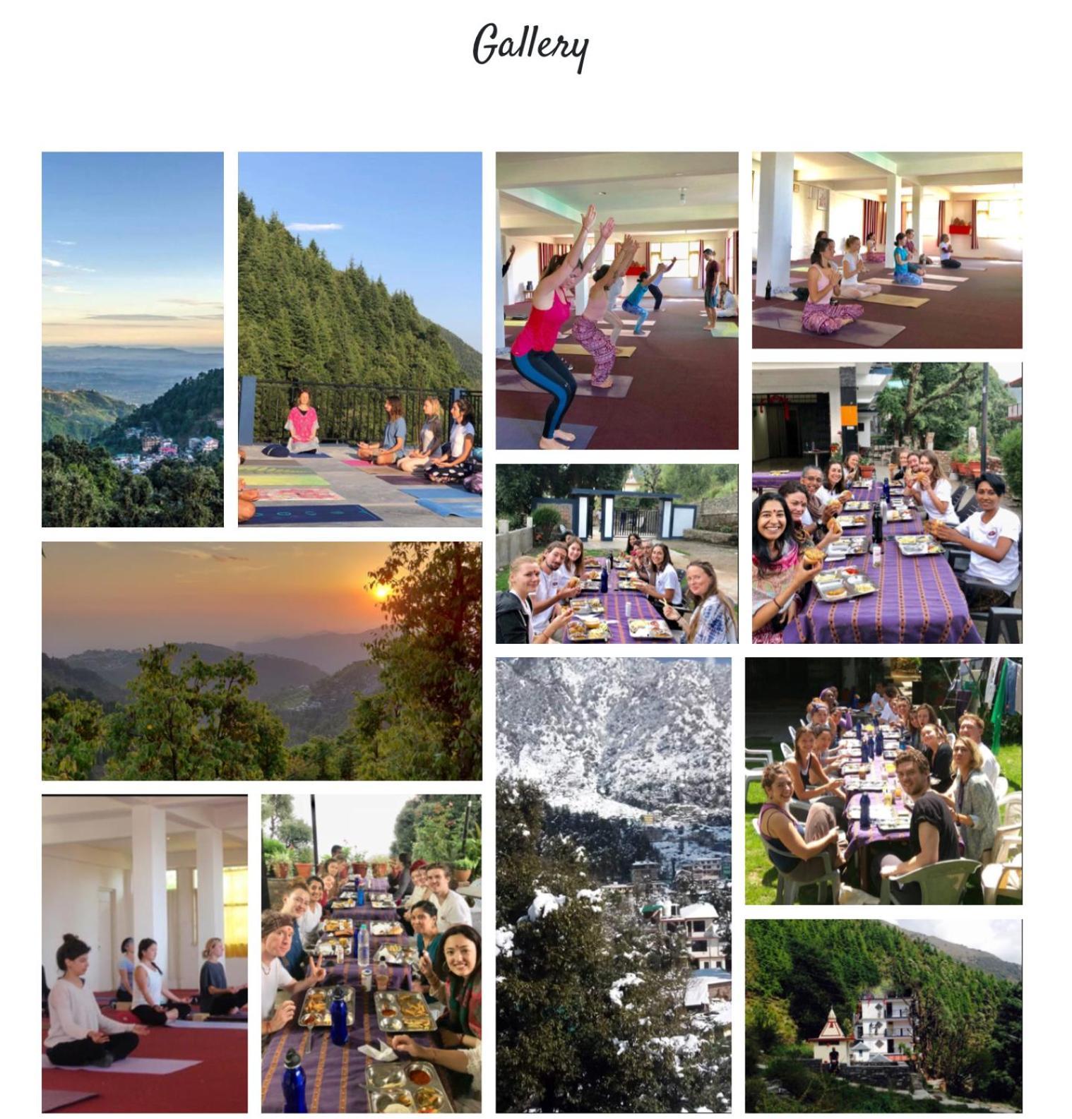 Oasis Guest House Bhagsu D'Shala Dharamshala Eksteriør billede