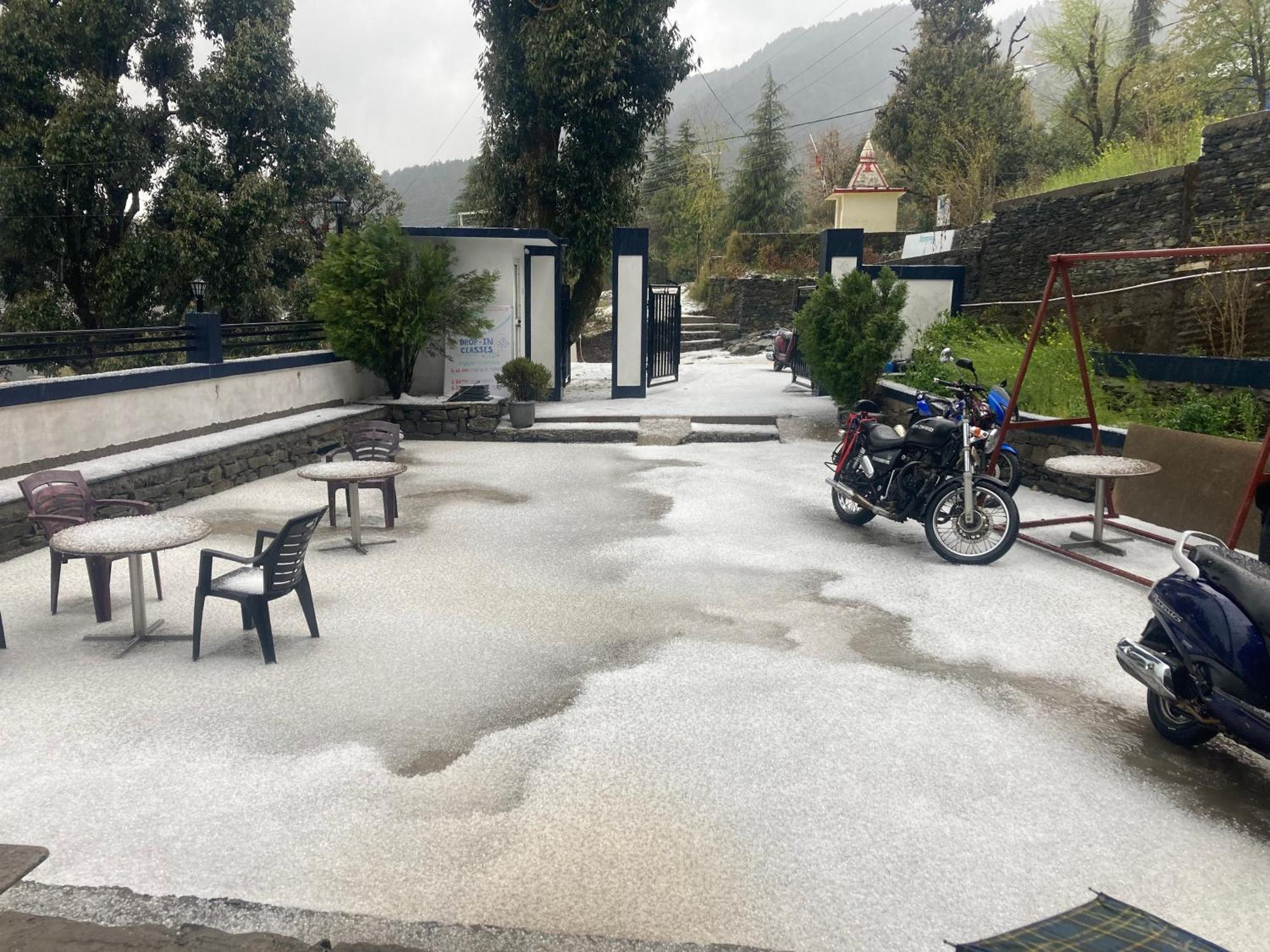Oasis Guest House Bhagsu D'Shala Dharamshala Eksteriør billede
