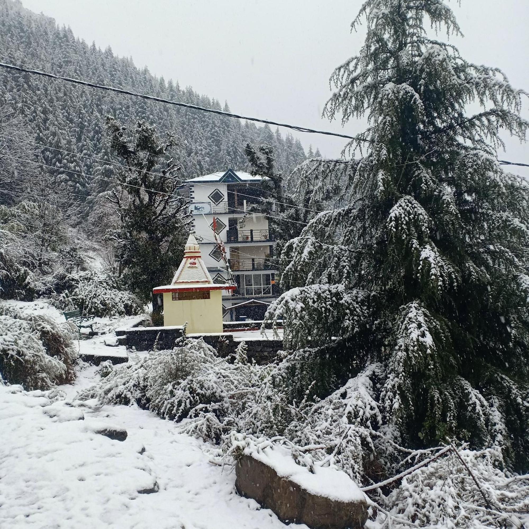 Oasis Guest House Bhagsu D'Shala Dharamshala Eksteriør billede