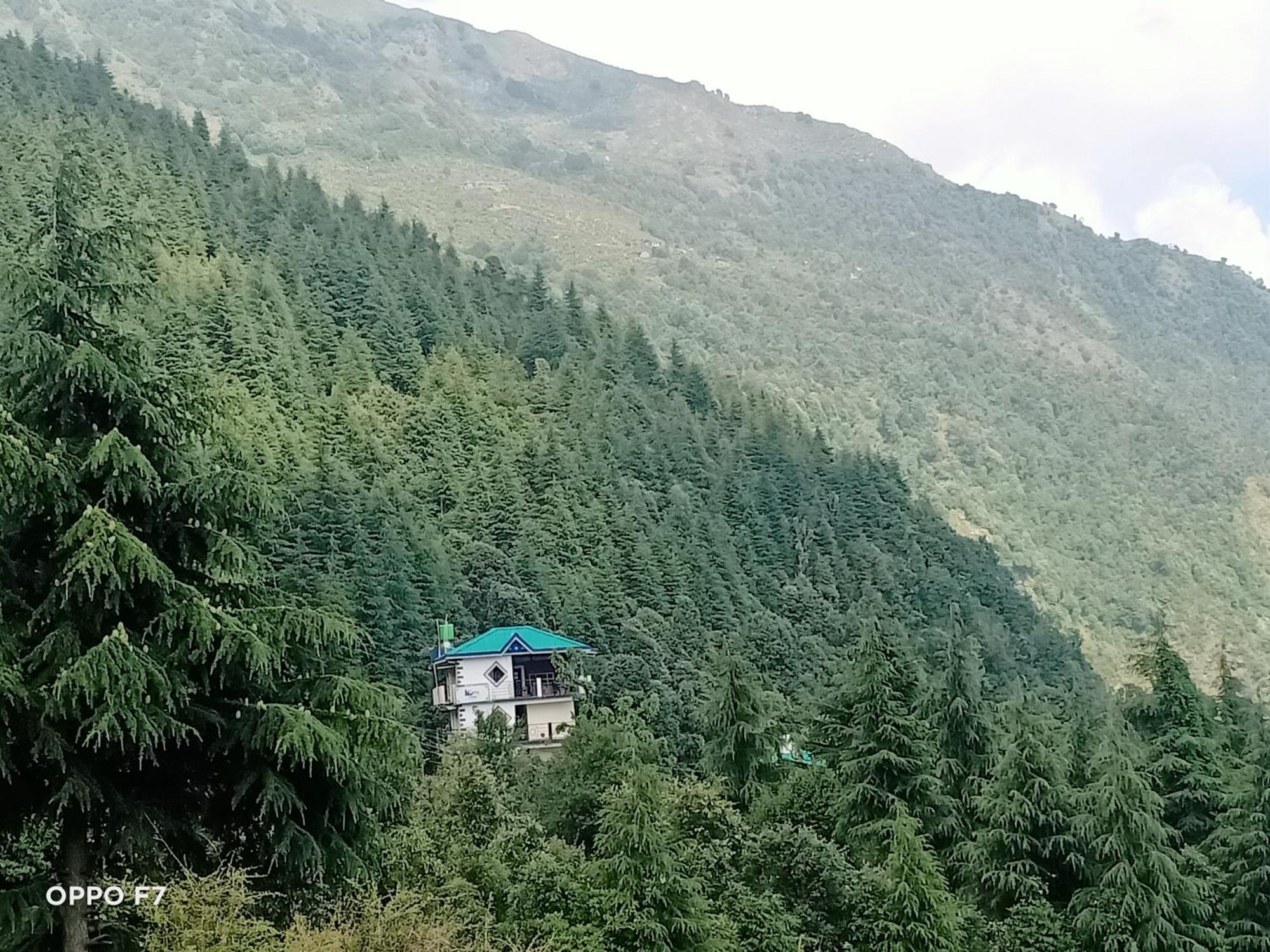 Oasis Guest House Bhagsu D'Shala Dharamshala Eksteriør billede