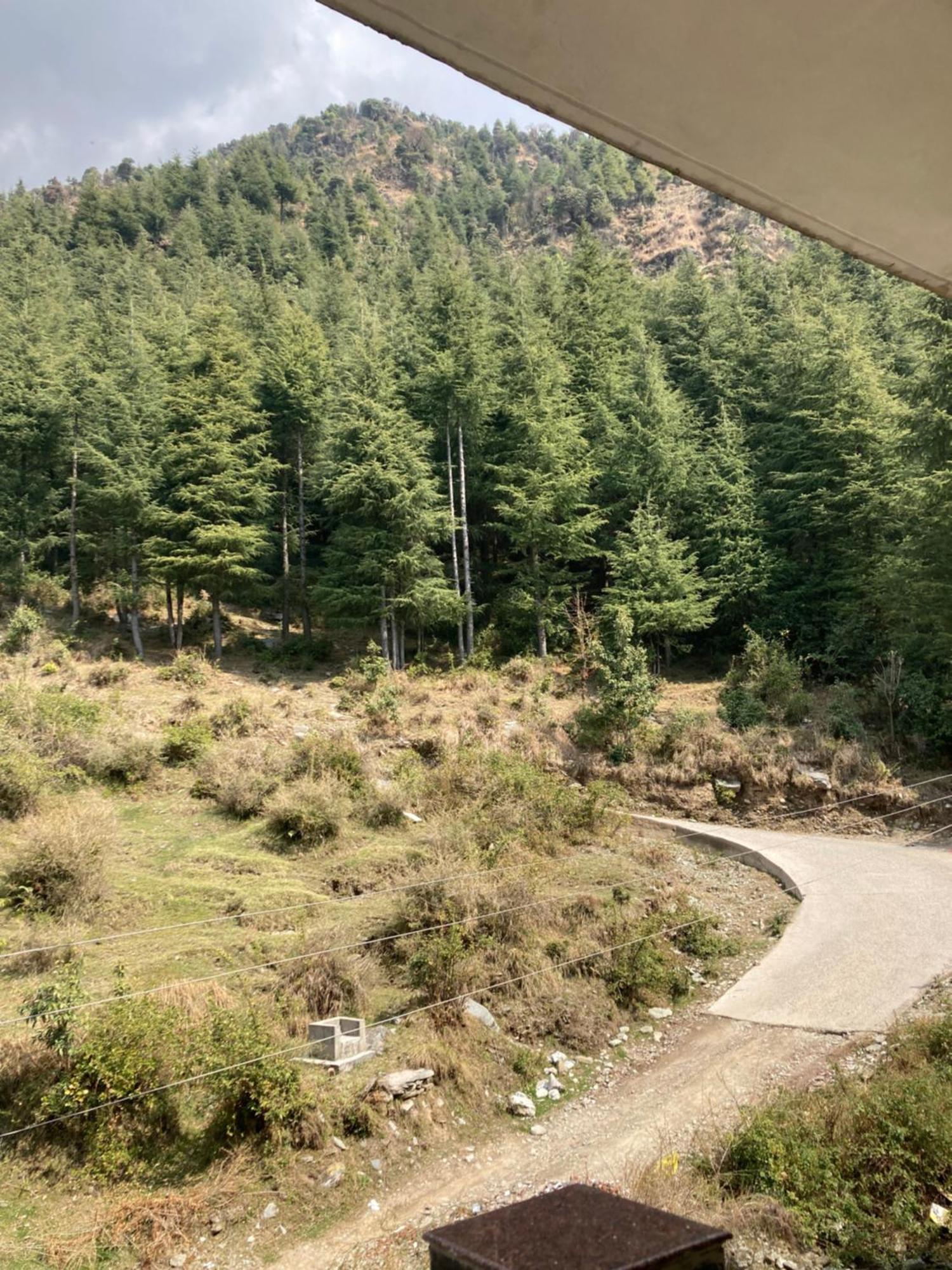 Oasis Guest House Bhagsu D'Shala Dharamshala Eksteriør billede